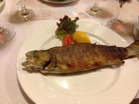 Seerestaurant Forellenstube